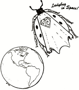 illo by Sheryl Birkhead