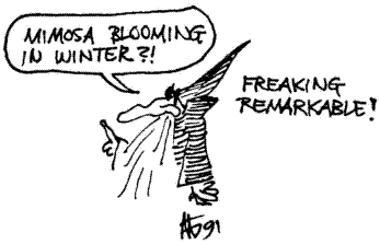 illo by Alexis Gilliland